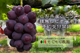 【山梨県産】ピオーネ(種無し)1kg（2〜3房）【クール便】【熨斗対応可】【夏ギフト】