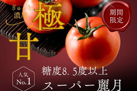 【糖度8.5度以上】極甘スーパー麗月1ｋｇ