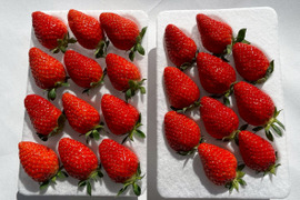 香り広がる。「かおりの」250g×4p