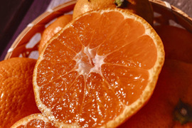 皮まで安心‼️化学農薬不使用小豆島産早生みかん5kg