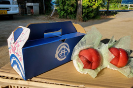 【糖度17度保証】一度食べたらやみつき確定完熟マンゴーネクタリン☆お試し約1kg3～4個☆朝どれ高級もも☆家庭用や贈り物・お中元に最適贅沢夏ギフト🍑8月下旬予約🍑