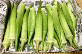 ビッグサイズの甘くて柔らか★絶品！！オニおくら★
