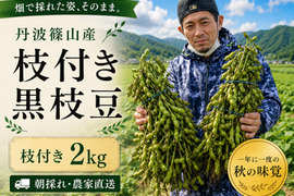 【数量限定】丹波篠山 黒枝豆 枝付き2㎏ 丹波篠山産 丹波 枝豆 もっちり 黒大豆 大粒 波部黒 丹波黒 高級 2kg 黒大豆枝豆 枝付き 贈答品 束 丹波篠山黒枝豆 枝豆 丹波 黒豆