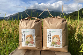 伊吹山の伏流水で育った”おかるばあさんのコシヒカリ”