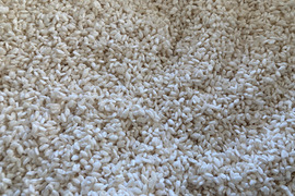味噌や塩麹の材料に、農薬化学肥料不使用栽培　白米糀（1kg）と味噌のセット