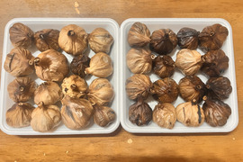 京都府のにんにくで産地直送の商品｜食べチョク｜産地直送(産直)お