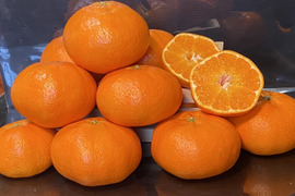 愛媛の甘平☆混合サイズ☆ご家庭用☆2.5㎏×２ケース