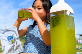 〈メール便〉水出し緑茶5g✖️30ｐ希少部位"真（ジン）"使用　渋み少なくほんのり甘い　750ｍL～1Lできます　　お茶　ティーバッグ
