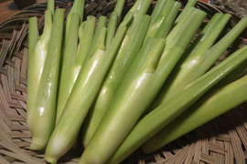 今が旬！自然栽培マコモダケ3キロ