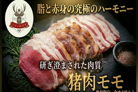 【罪悪感ゼロの贅沢】高タンパクで満たされる赤身”猪モモ”身体を仕上げながら満たされる🍖お試しキャンペーン約200g