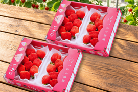 【予約販売 2026年11月下旬～順次発送】🍓あまおう苺 サイズ色々❤️約250～270ｇ×4パック！（約1080g）