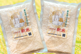 【特A受賞米】はえぬき3合×2袋　さっぱり食感！令和4年山形県庄内産　白米