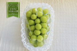ぶどうの通販｜果物｜食べチョク｜産地直送(産直)お取り寄せ通販