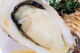 【希少】バージンオイスター🦪20個 三陸宮城女川産 ひめちゃんオイスター 殻付き 生牡蠣 生食用 ホワイトデー ギフト 【母の日ギフト】のし対応