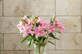 【母の日ギフト】【累計発送数5000件突破】~Merci bouquet M~ ♥ピンクmini八重ユリさん5本♥毎年大人気商品です!!