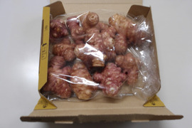 岩槻産　菊芋1kg