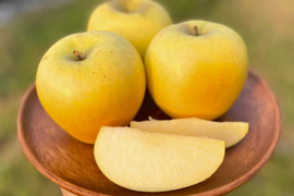 【2026年予約】『シナノゴールド』 家庭用　食感パリッとジューシーなりんご！5kg