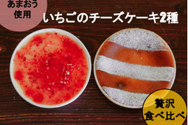 【冬ギフト】あまおう使用！いちごのチーズケーキ2種セット（13センチ）