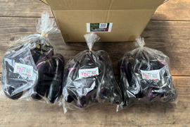 ☆有機JAS認証☆茄子500g×3袋