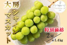 シャインマスカット 家庭用の通販｜食べチョク｜産地直送(産直