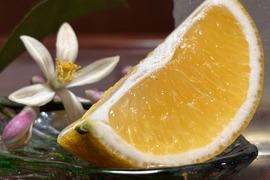 【朝市限定】西表島産 マイヤーレモン(5kg)