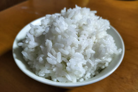 秋田のあきたこまち＜精米＞（約10kg）【令和６年産】