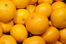 【八朔(はっさく) ご家庭用 4kg】サイズ混合　和歌山県有田市　産地直送