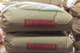 秋田のあきたこまち＜玄米＞（約25kg）【令和６年度産】