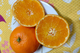 【訳あり】加工用　広島県産プリンス清見🍊5kg(箱込み)