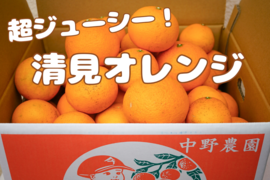 【まるでゼリー！】清見オレンジ 5kg 和歌山県産