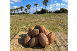 種子島産 安納芋 2Sサイズ 5kg｜甘くて濃厚🍠｜aimo農園直送