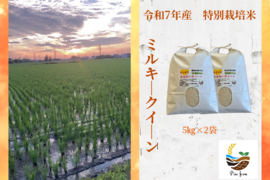 R7年産特別栽培米　ミルキークイーン　10㎏