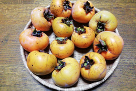 完熟　富有柿(２㎏前後)【農薬化学肥料不使用】【熨斗(のし)対応可】