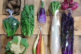 【無農薬】採れたての旬の野菜＊大(7-10品目)