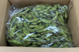 【限定】枝豆王国新潟から☆ブサイクなB品（3kg）　生産者は毎日この枝豆食べてます(^^)