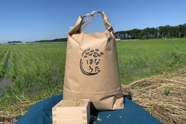自然栽培ななつぼし玄米10キロ