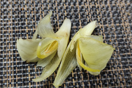 🌸【秋限定・数量限定】珍しい朝採りミョウガの花150g（ミョウガ株付き）＋旬のお野菜1品｜料理を彩る贅沢な食用花🌸