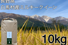 令和7年白馬産ミルキークイーン10kg