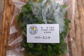 化学農薬・肥料不使用のペパーミント（40g）お魚が野菜を育てる「アクアポニックス」で栽培