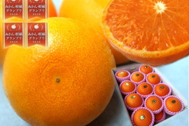 【２箱まとめ買い】🏆みかん柑橘グランプリ2026最高金賞含む最多４部門受賞の木熟せとか！大感動！樹上完熟させた濃厚な甘みの大トロ「木熟せとか」厳選プレミアム　約４．２ｋｇ２箱セット【403-2】