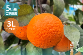 さっぱり濃甘🍊南津海【見た目訳アリ・大玉・5kg箱】
