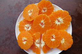 樹上完熟阿波のかがやき　(西南のひかり）販売開始！！　満杯（5.5ｋｇ以上）2ケース同梱でお送りします。