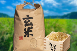 【令和7年新米】8月上旬発送！お弁当や和食に合う「ふさおとめ」10kg（玄米）自家製米ぬかと有機質肥料で育ったお米
