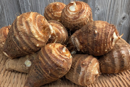 《ねっとり、しっとり》里芋２KG 五島列島産 栽培期間中農薬/化学肥料不使用 サトイモ