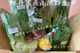 【お試し価格】軽井沢高原野菜 新鮮朝採り農家おまかせ野菜セット 6～7品目 Sセット