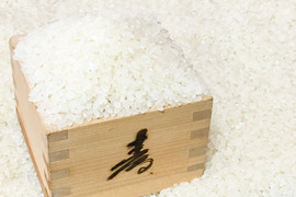 【リピーター続出商品！】【冬ギフト】【令和4年】京都丹後産コシヒカリ 10kg