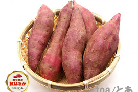 本場鹿児島産の甘～い べにはるか（さつまいも）5kg