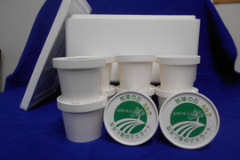 【味に自信あり】ななつ星アイスクリームカップ入り山ぶどう味（新商品）５個、ミルク味５個入りセット発泡スチロール　保冷剤込み