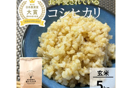 日本農業賞大賞受賞 令和8年産コシヒカリ10kg×2袋玄米：石川県産のお