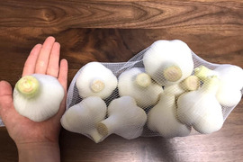 【数量限定】採れたて!「生にんにく」2kg青森県田子町産